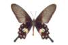 img0026_small.jpg