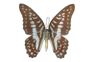 img0028.jpg