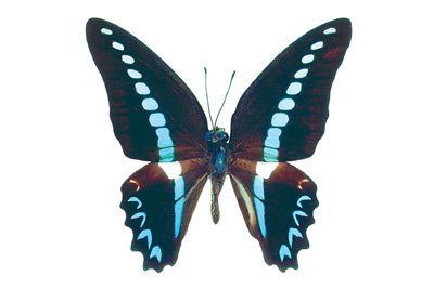 img0029.jpg