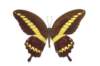 img0030_small.jpg