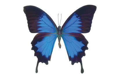 img0034.jpg