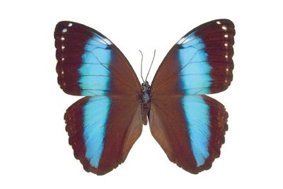 img0035.jpg