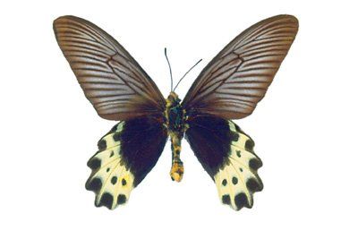 img0037.jpg