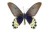img0037_small.jpg