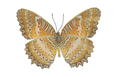 img0043.jpg