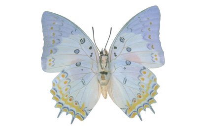 img0046.jpg