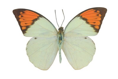 img0047.jpg