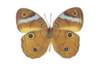 img0050_small.jpg