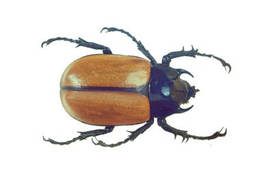 img0053.jpg