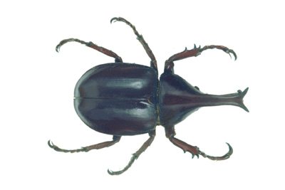 img0055.jpg