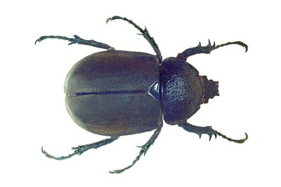 img0056.jpg