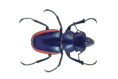 img0058.jpg