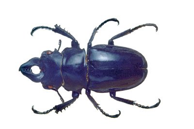 img0059.jpg