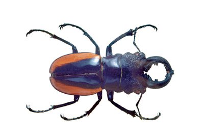 img0064.jpg
