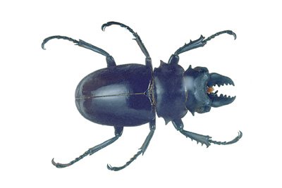 img0065.jpg