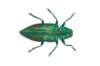 img0074_small.jpg