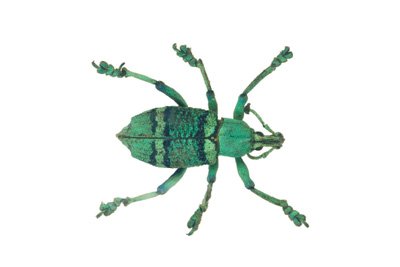 img0076.jpg