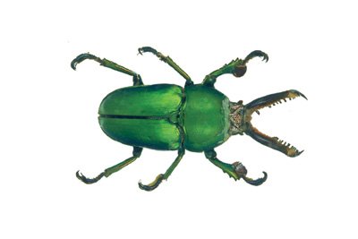 img0080.jpg