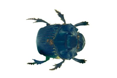 img0082.jpg