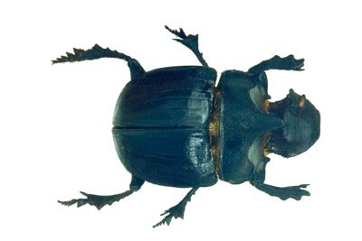 img0083.jpg
