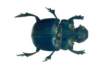 img0083_small.jpg