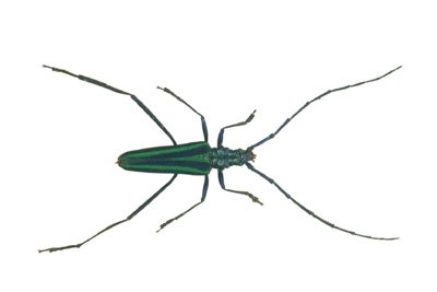 img0093.jpg