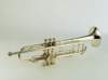 mu01013_small.jpg