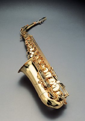 mu01019.jpg