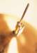mu01055_small.jpg