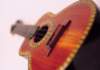 mu01080_small.jpg