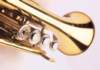mu01100_small.jpg