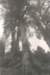 img0042_small.jpg