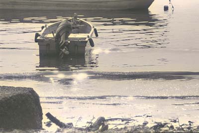 img0050.jpg