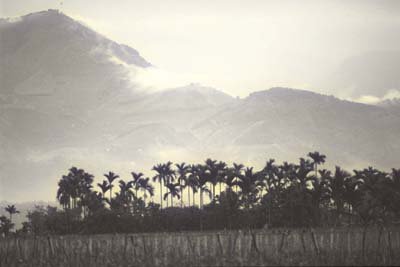 img0061.jpg