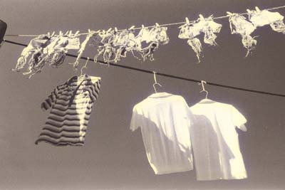 img0063.jpg