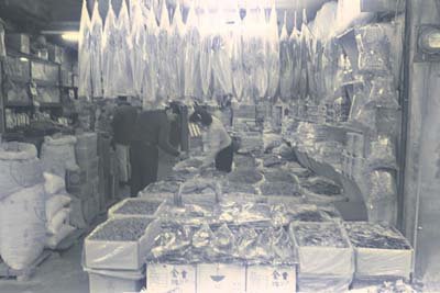 img0064.jpg
