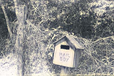 img0082.jpg