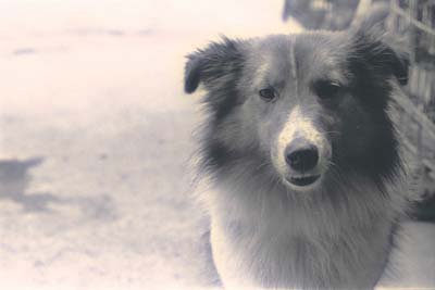 img0094.jpg