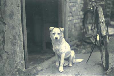 img0096.jpg