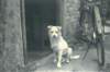 img0096_small.jpg