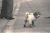 img0100_small.jpg