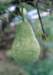fa01016_small.jpg