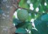 fa01027_small.jpg