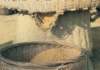 fa01054_small.jpg
