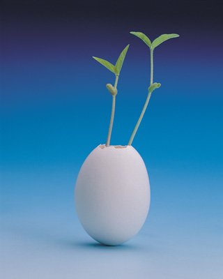 or01014.jpg