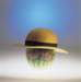 or01029_small.jpg