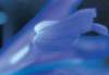 cl02011_small.jpg