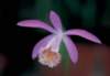 cl02014_small.jpg