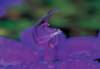 cl02017_small.jpg