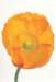 cl02024_small.jpg